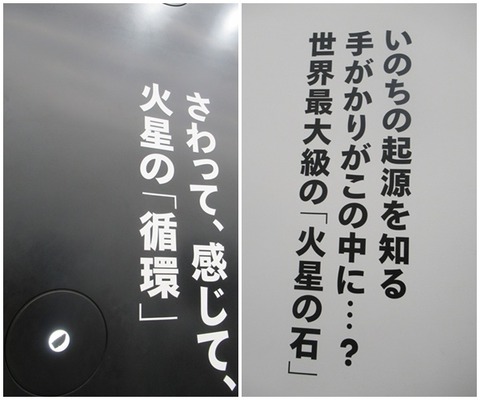 catsパビリオン１０