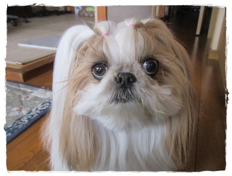 遊びに行ってきましゅ～(*^^*)