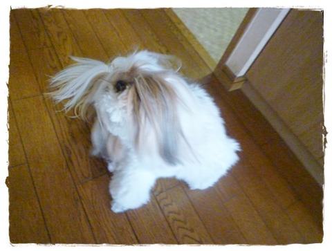 クチャクチャ(;^ω^)