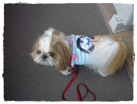 梅雨明けしてないのに。