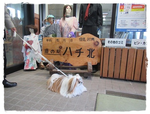 IMG_8228ユニ
