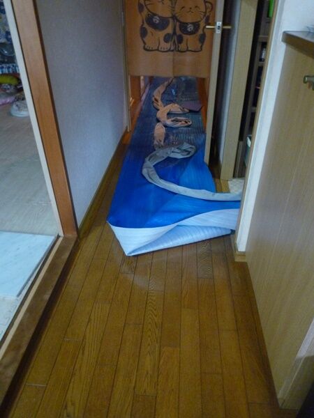 静か～に(^^)