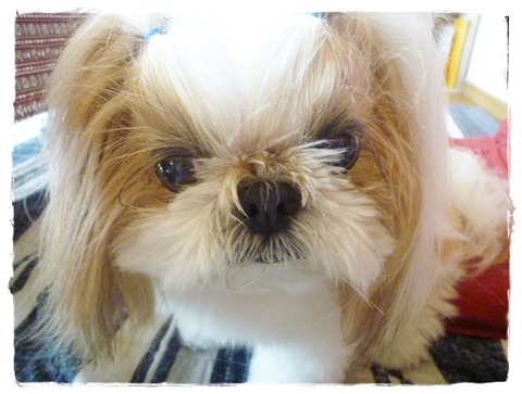 綺麗でちた(^^♪