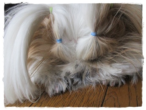 間に合って良かった♪でも…