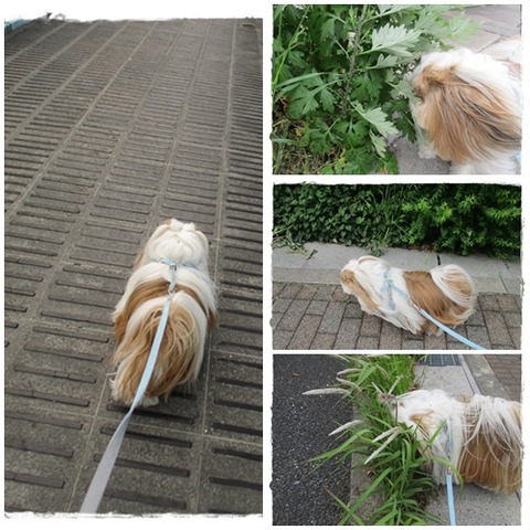 今日は…大人しく…( ´艸｀)