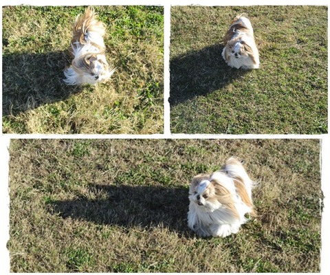 cats１２／１８ユニ