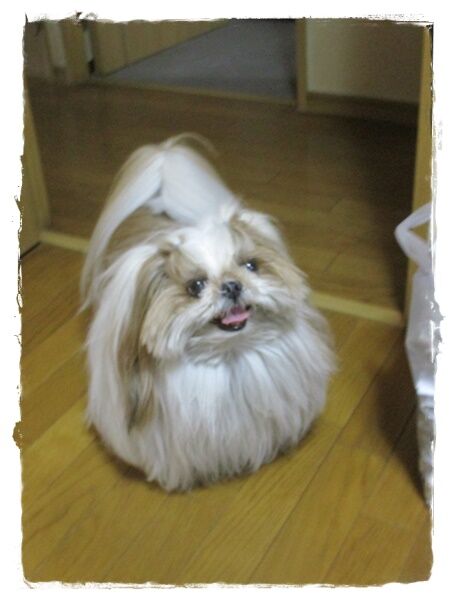 思う存分にって言われても(-_-;)