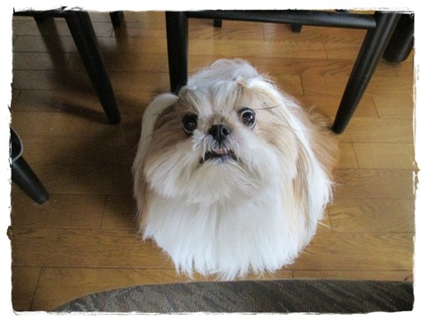 貰うまで( ´艸｀)