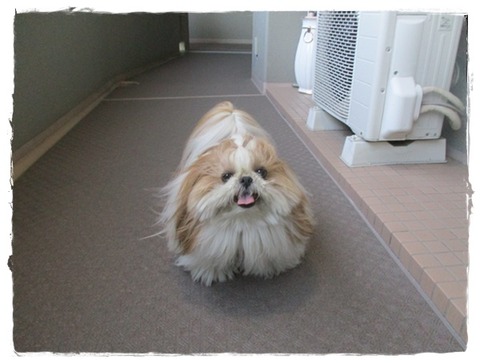 上から下から💦