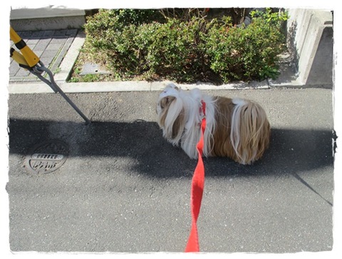 ドロドロになったので…