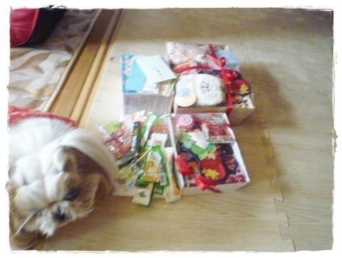 ガラガラでゲット!