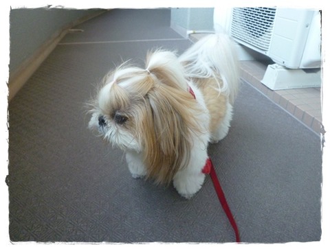 朝早くから元気に…