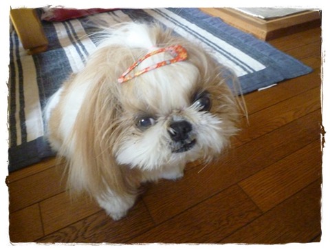 仕方ないでしゅよね～(^^)