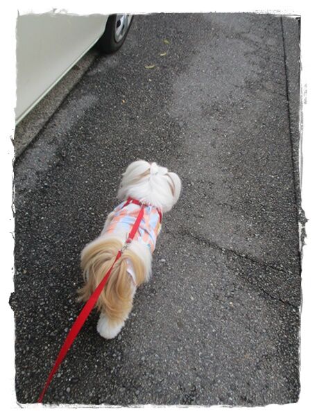 知ってたんかい～!