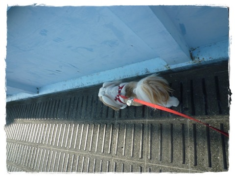 今日は…コース変更(*^^*)