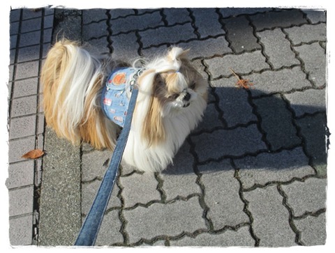 久しぶりに会ったら～(*^▽^*)