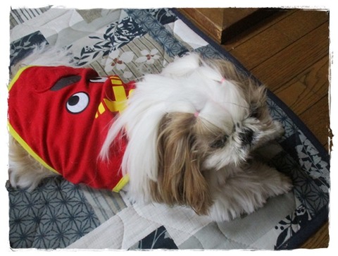 呆れたでしゅ( ´Д｀)=3 ﾌｩ