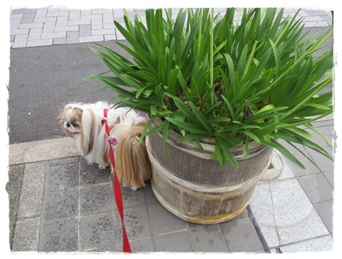 ペットボトルで防止?