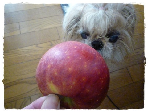リンゴ🍎