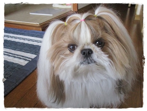 変わってる姉妹なのかな?