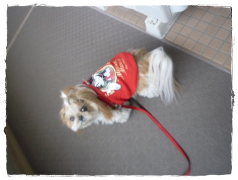 予報がハズレたか!