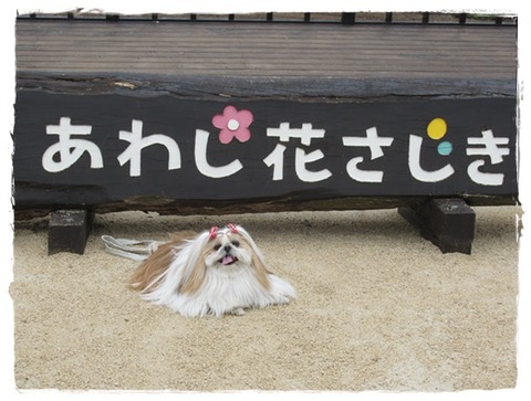 淡路島「七福神」巡り⑵