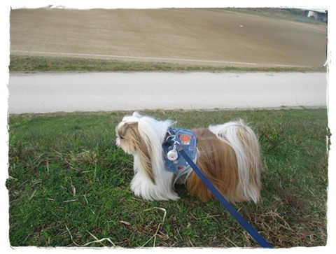 一足早いクリスマスプレゼント♪