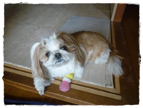 アタチを置いて😢