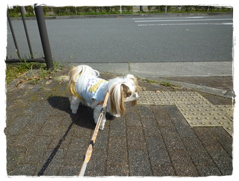 今日は…勝ったぞ～(^^)