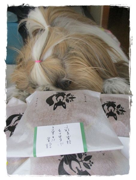 並ばなくてもよくなったでしゅ～