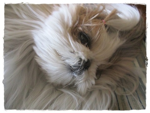 ひゃっとした。