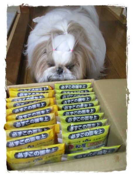 怪しいな～と思ってたら…