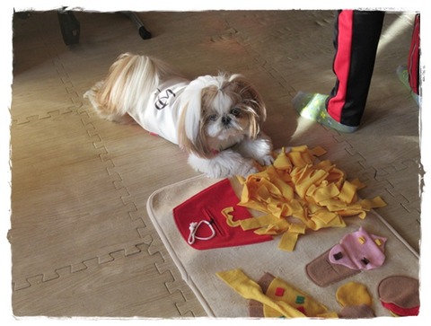 雨が降る前に。