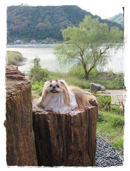 誕生日旅行パート４。