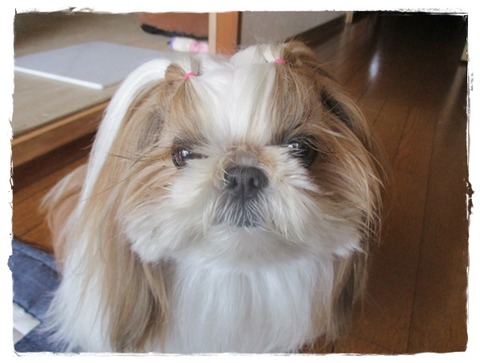 久しぶりに…チョット一杯🍺