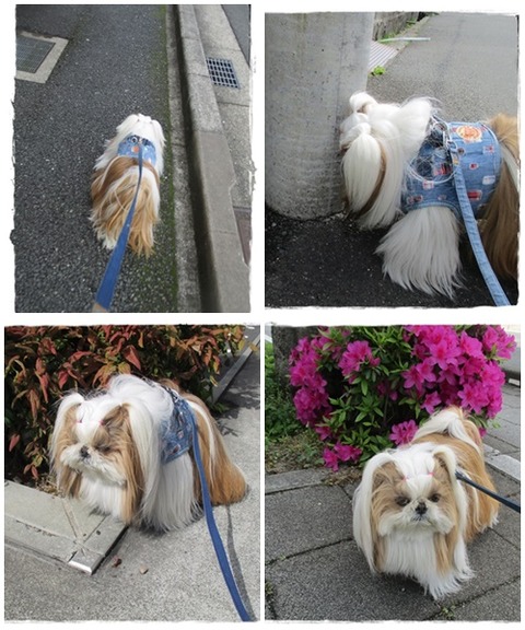 昨日の分まで( ´艸｀)