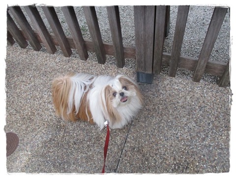 興奮しすぎて…(;^ω^)