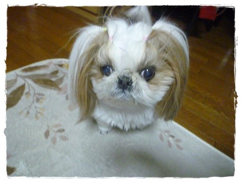 張り切り過ぎて💦