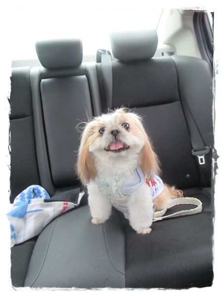 淡路島プチ旅行⑴