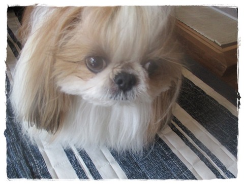 アタチも久しぶりに♪