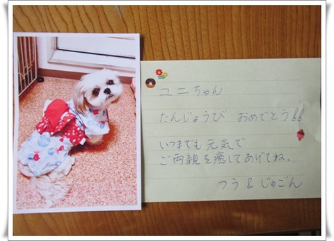 ただいま～＼(^o^)／