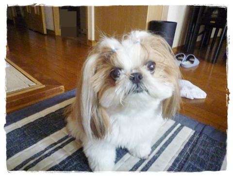 美味しかったでしゅ～♪