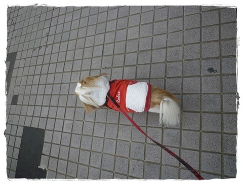 無事で良かった!