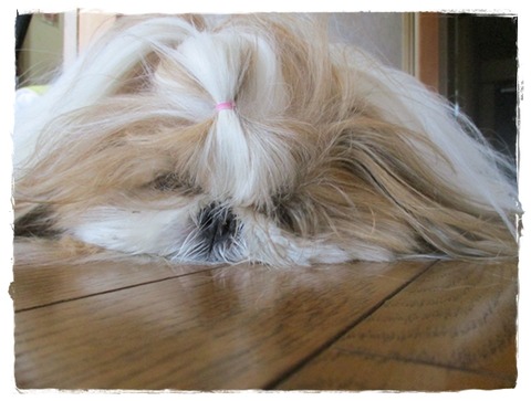 2日続けて寝不足。