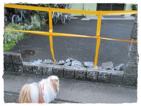 一歩間違えてたら…