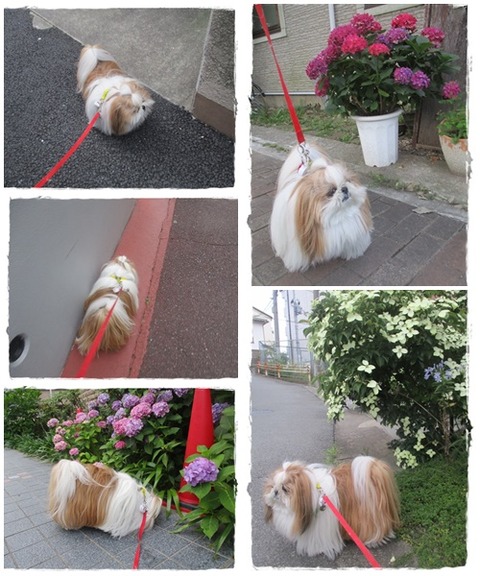 catsユニ６／２４