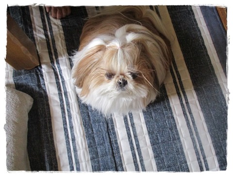 二人で留守番。