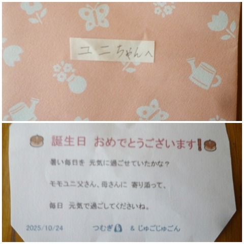 catsメッセージカード