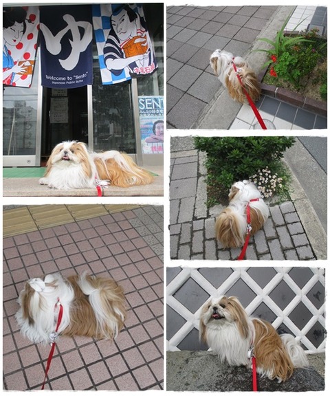 catsユニ６／２８