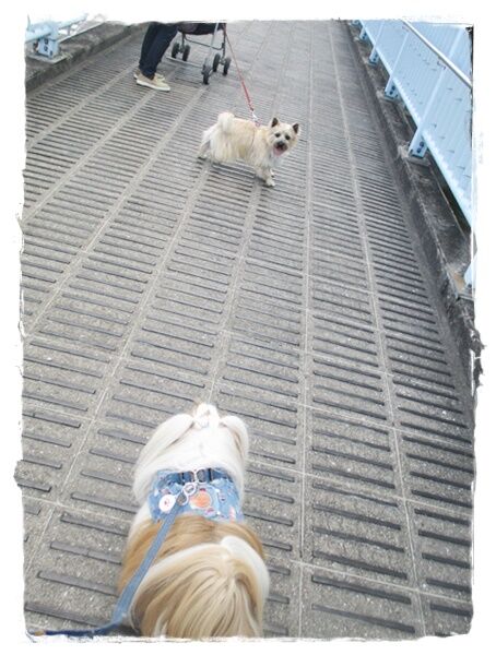 冷凍庫の食品補給第２弾。